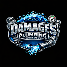 Avatar for Damage's Plumbing