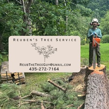 Avatar for Reubens Tree Service, LLC