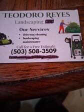Avatar for Teodoro Reyes Landscaping
