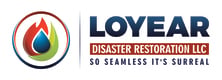 Avatar for Loyear Disaster Restoration Services LLC