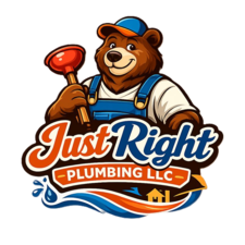 Avatar for Just Right Plumbing LLC