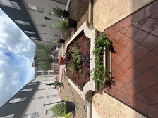 Avatar for Southern Lawns