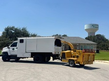 Avatar for Alex Tree Service