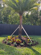 Avatar for Diego's Landscaping & Tree Services