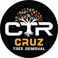 Avatar for Hernandez Cruz Tree Removal