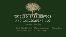 Avatar for Triple M Tree Service and Landscaping LLC