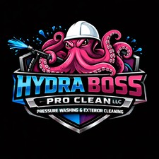 Avatar for Hydra Boss Pro Clean LLC