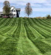 Avatar for Schiffys lawn and garden