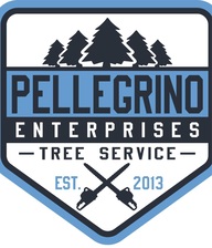 Avatar for Pellegrino Enterprises, LLC