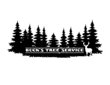 Avatar for Buck's Tree Service LLC