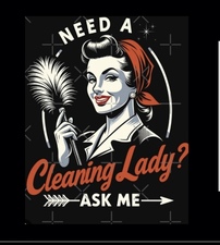 Avatar for The Cleaning Queens