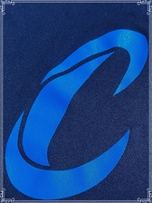 Avatar for CONTROLLING DUCT CLEANING LLC