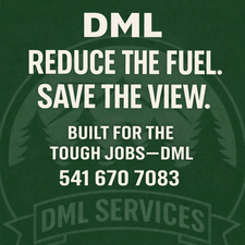 Avatar for DML Services