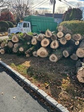 Avatar for Life Tree Services LLC
