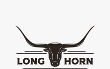 Avatar for Longhorn TNL Construction LLC