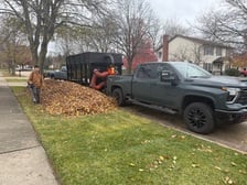 Avatar for The Paradise Landscaping and Snow Removal