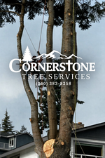 Avatar for Cornerstone Tree Services