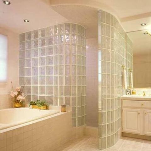 Transitional Bathroom with glass block walls around shower