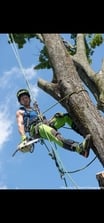 Avatar for Earth Tenders Tree Care LLC
