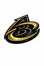 Avatar for Assembly Bros