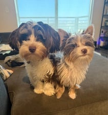 Avatar for Brassfield Industries