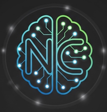 Avatar for Netsapien Computing