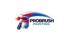 Avatar for ProBrush Painting