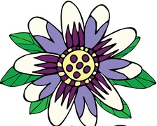 Avatar for Sticks and Stones Landscaping