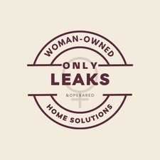 Avatar for Only Leaks Home Solutions