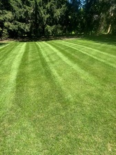 Avatar for Lawnscape