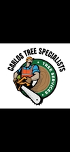 Avatar for Carlos Tree Specialists LLC