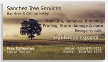 Avatar for Sanchez Tree Services