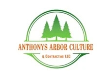 Avatar for Anthonys Arbor Culture & Contracting, LLC