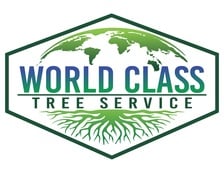 Avatar for World Class Tree Service