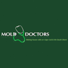 Avatar for Mold Doctors