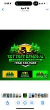 Avatar for T&T Tree Removal and Land Clearing
