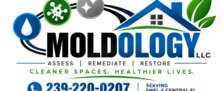 Avatar for Moldology, LLC