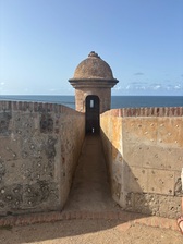 Avatar for Dump on the spot