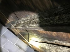 Avatar for Middle Tennessee Mold Remediation