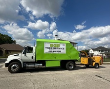 Avatar for EGE TREE SERVICE