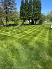 Avatar for Alexs lawn and landscape services