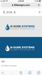 B-Sure Systems, Inc. logo