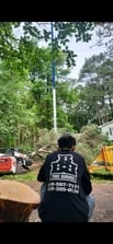 Avatar for BBB Tree Services