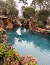 Avatar for Royal Pool Care LLC