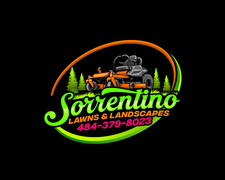 Avatar for Sorrentino Lawns & Landscapes LLC