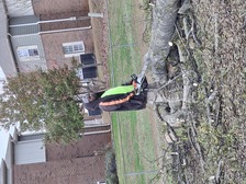 Avatar for Quintin Tree Service