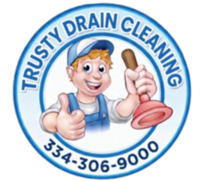 Avatar for Trustly Drain Cleaning