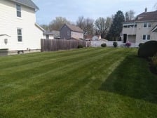 Avatar for Maldonado Lawns LLC