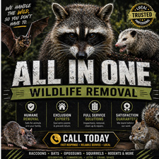 Avatar for All in One Wildlife Removal, LLC