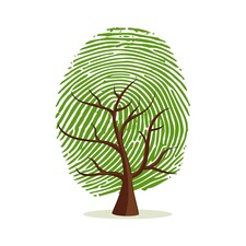 Avatar for Green Thumb Tree Care